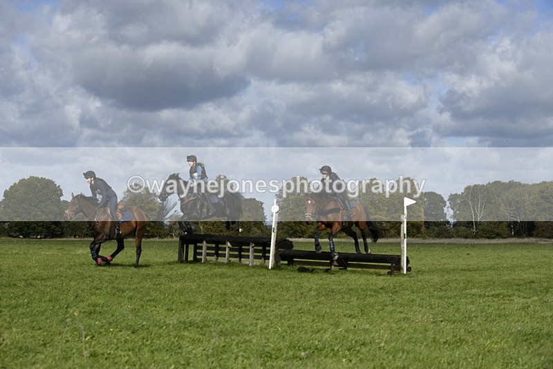 _DSC6805 - Time 11:23 to 12:05