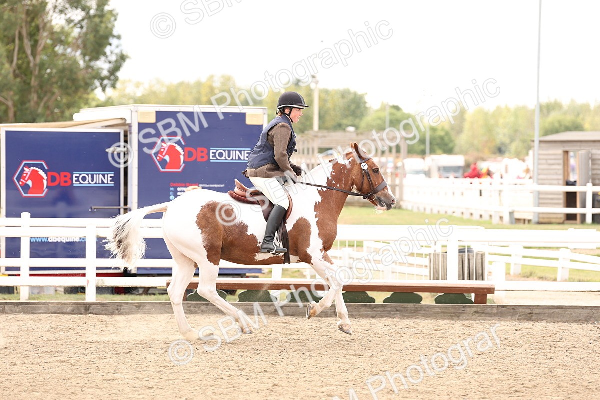 SBM_05096 - Class 56a -  Style & Performance - 50cm (15-19)