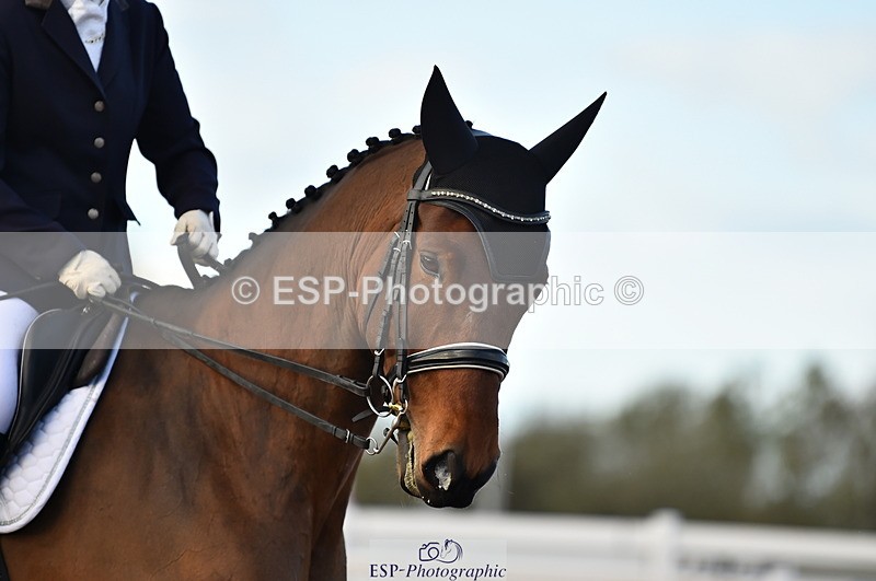 231104A-151004-02272 - Cls 14 Adv Medium 98