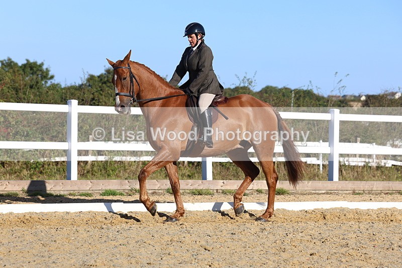 3E7A5195 - Class 7: Novice Ridden Hunter/Hack/RH/Cob
