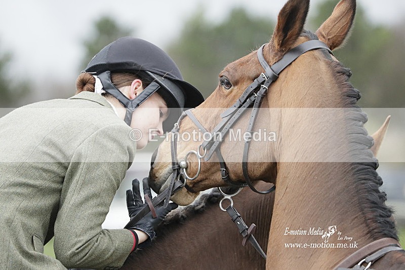 PtP 260323 0660 - New Forest Hounds Point-to-Point Larkhill 26/03/23