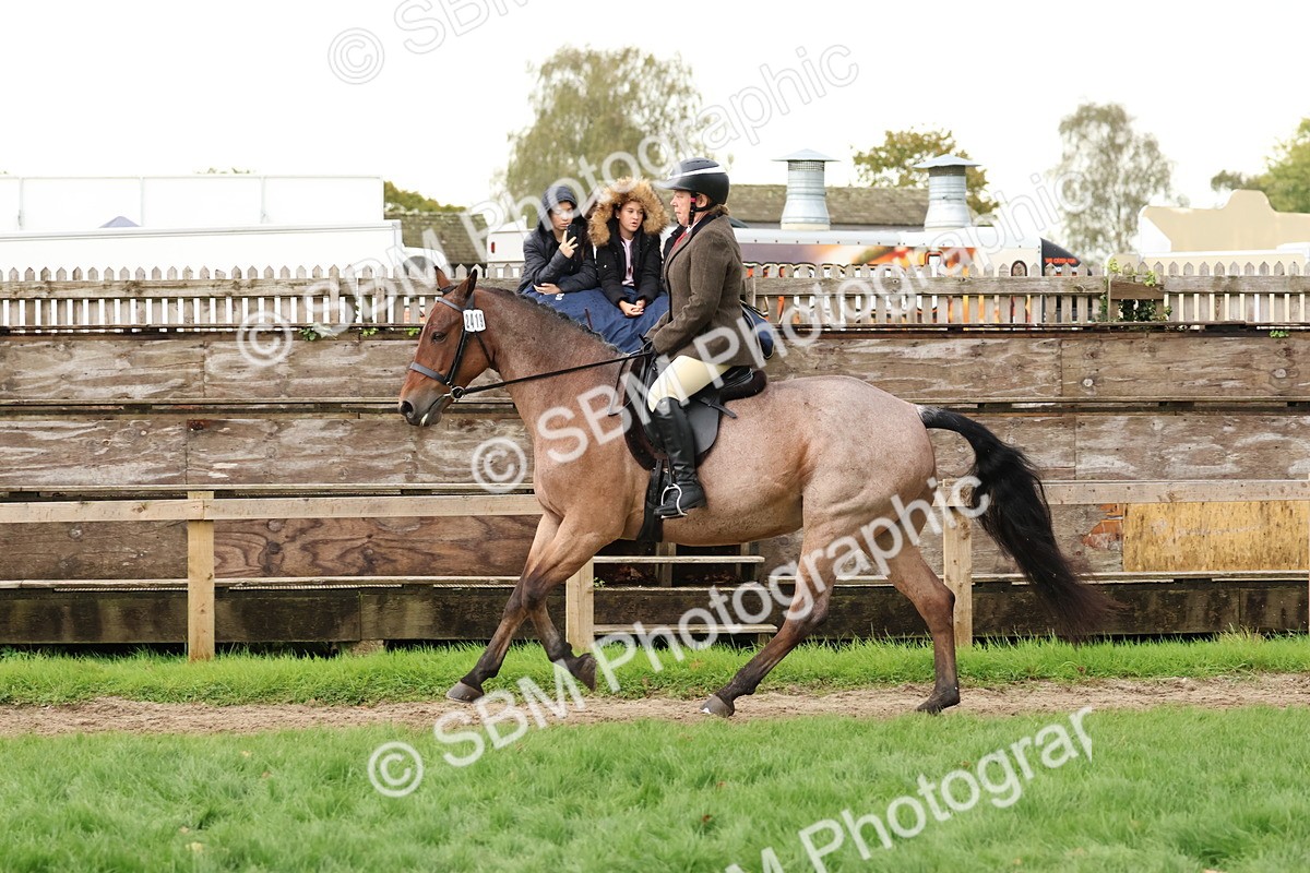 SBM_45020 - S27 - Young Veteran Ridden