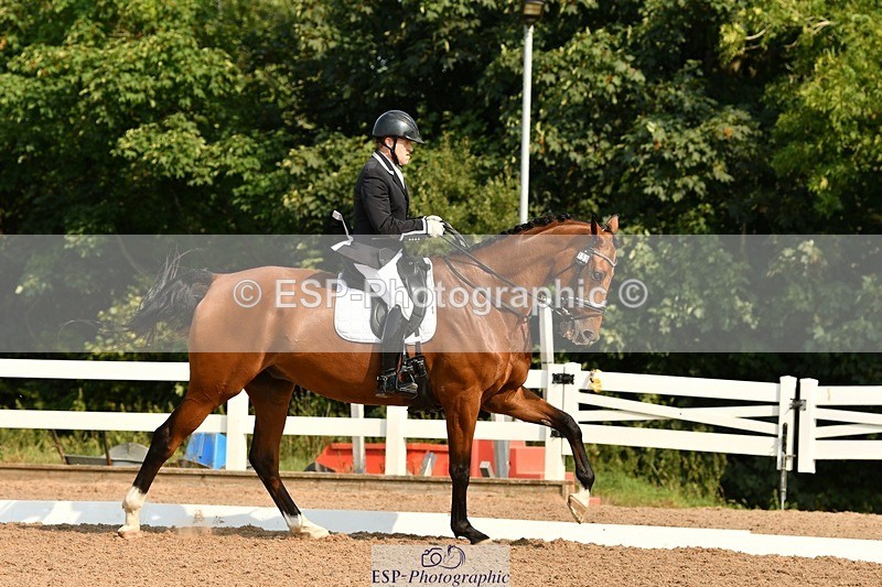 250817-101639-07813 - 153-Gary.ShimminKashmir.MMXXVIII