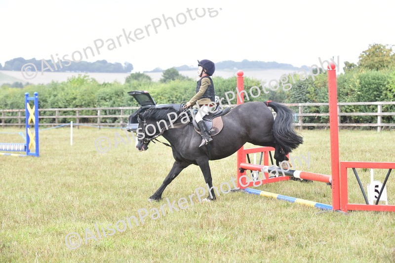 20250831-1861 - Class 9 - Absolute Novice 45cm