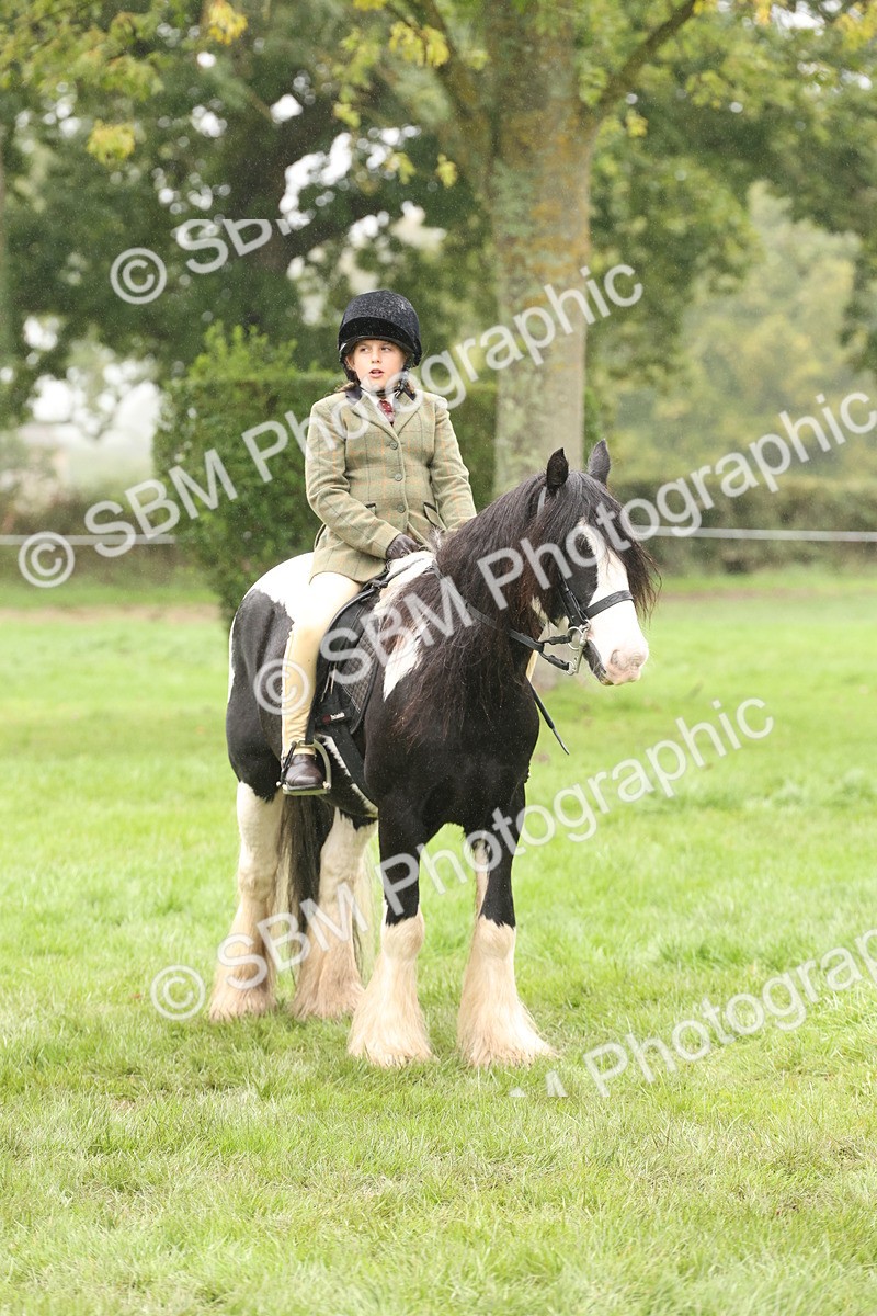 SBM_72772 - S70 - Traditional Cob Ridden