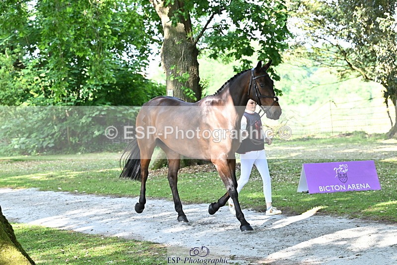 250521A-165037-01369 - C-266-Izzi.Best-BROCKAGH.DOR