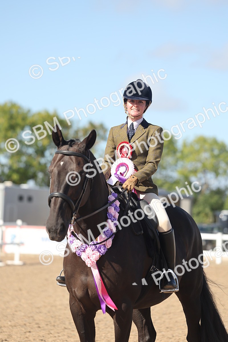 SBM_22691 - Class 805 - Ridden Veteran Horse