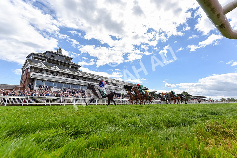 030525-Race 2-Under The Radar-1313 - Race 2