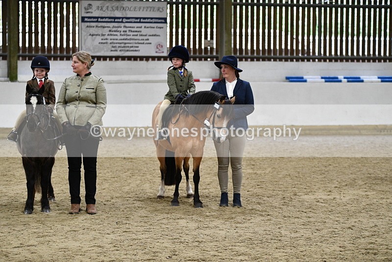 WJ5_7090 - Class 10 Childs Pony