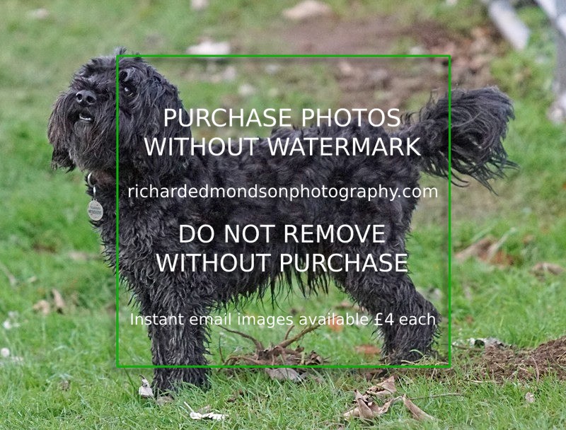 DSC09406 - Photo Round Up (Saturday 20th to Tuesday 30th November)