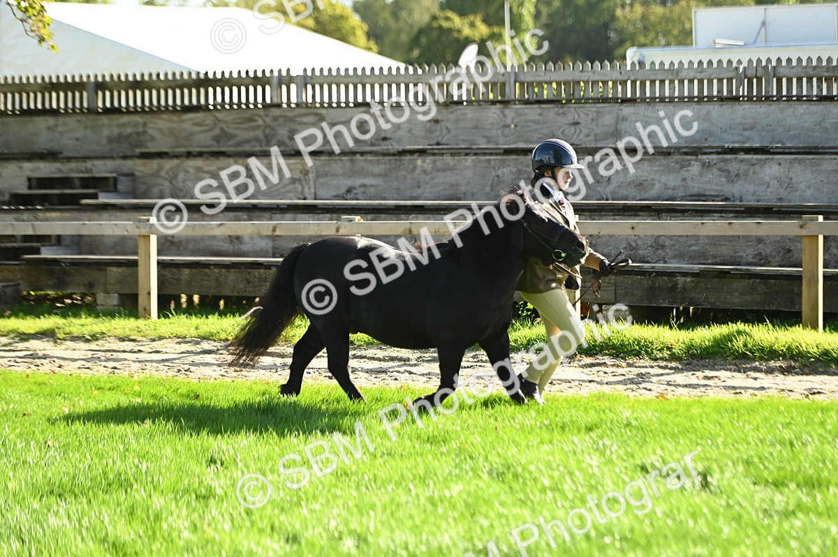 SBM_15840 - S1 - TSR in Hand Horse & Pony Showing
