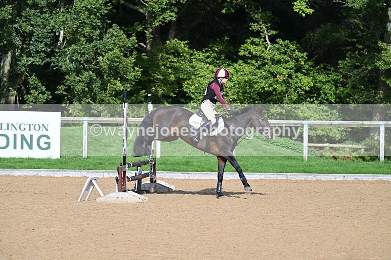 WJ7_1467 - Time 10:39 to 11:18