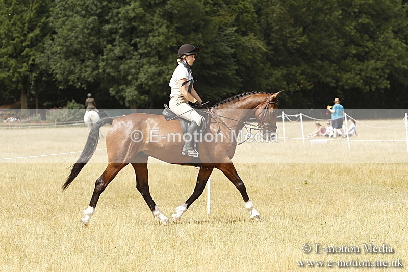 _BS_0991 - Working Hunter Championship BVRC Show 2018