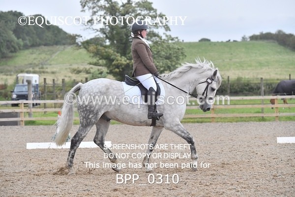 BPP_0310 - NOVICE 4 & 6