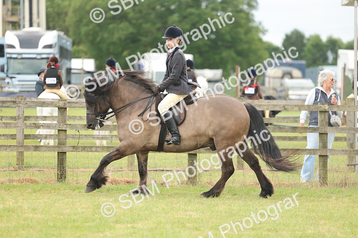 SBM_08977 - Class 78-80 - Ridden M&M Non Welsh Ponies