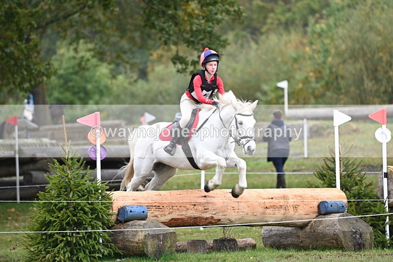 WJ6_2641 - 80cm Cam 1 Time 11:23 to 12:04