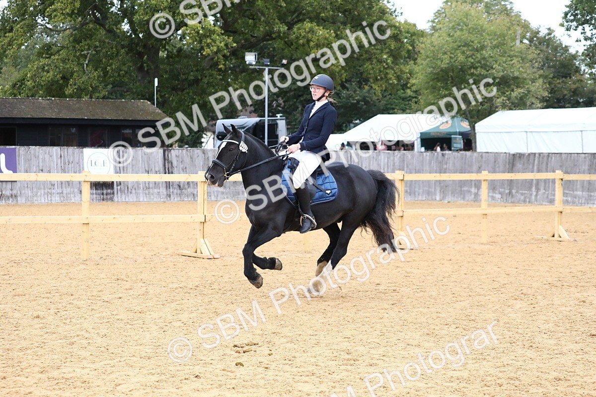 SBM_62323 - J64 - Junior Pony 60cm Championship