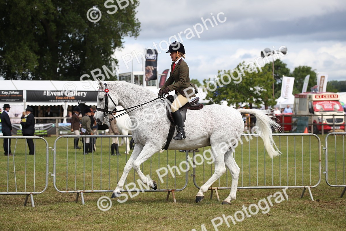 SBM_13240 - Class 95-96 - LIHS BSHA Rising Star Hack Riding Horse