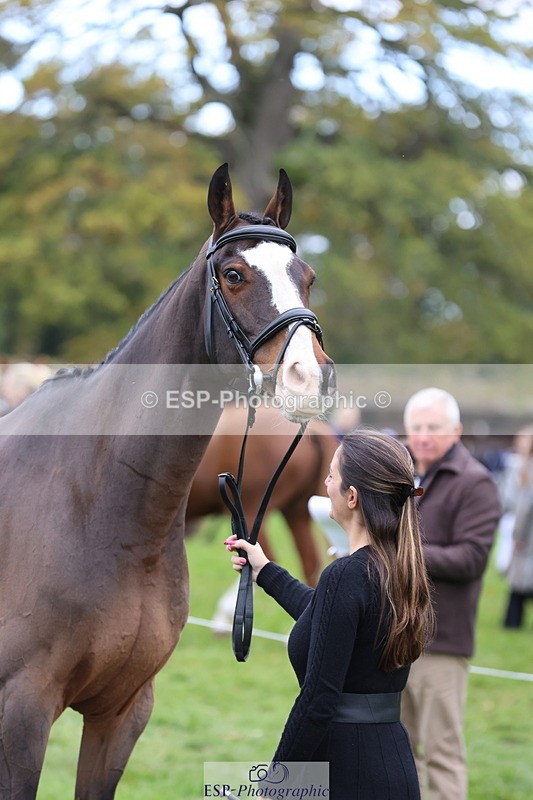 251026A-111209-25295 - G-521-Francesca.Gori