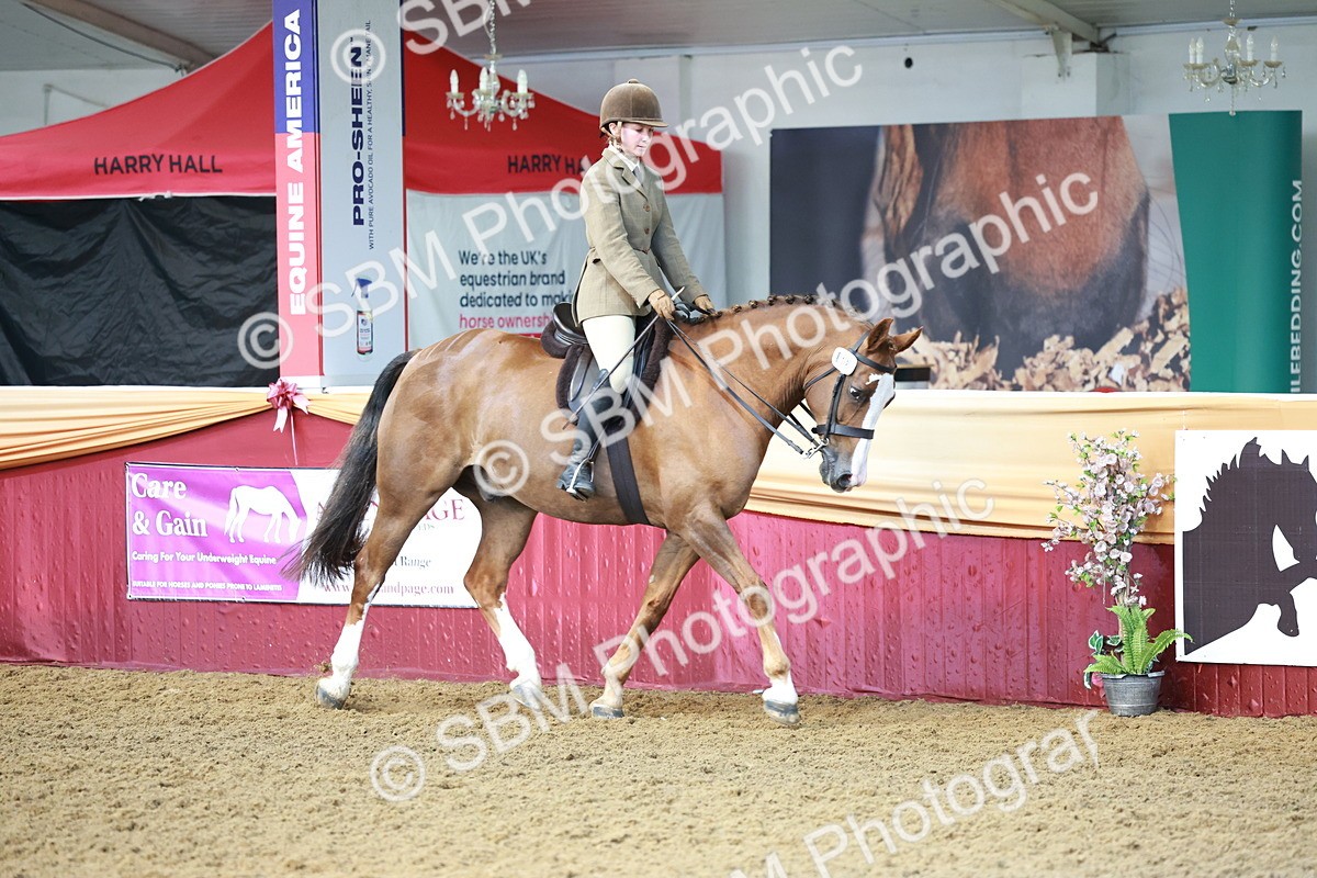 SBM_11961 - Class 102 - Equitation (Best Rider) Adult