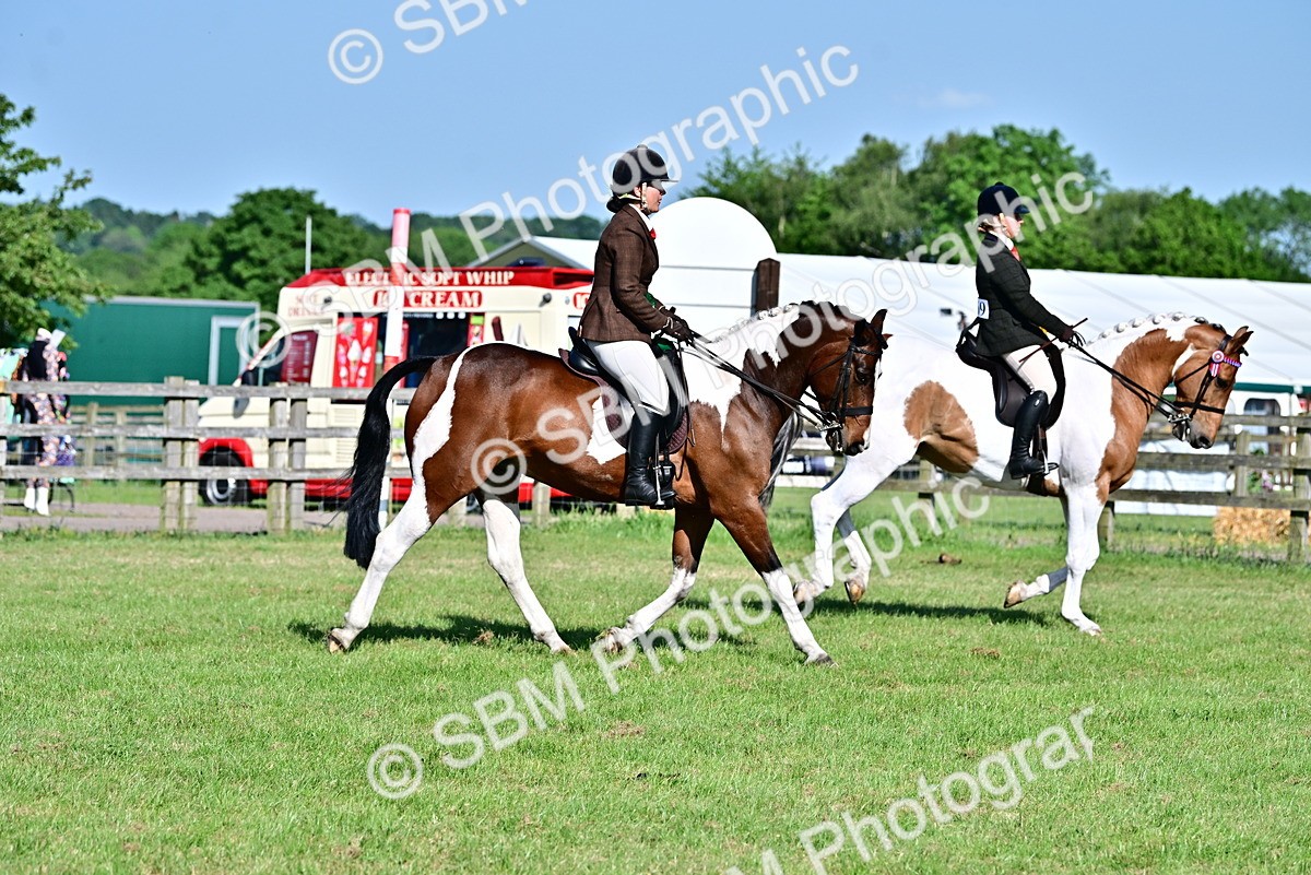 SBM_19551 - Class 101-102 - BSPS LIHS Performance Coloured Horse/Pony