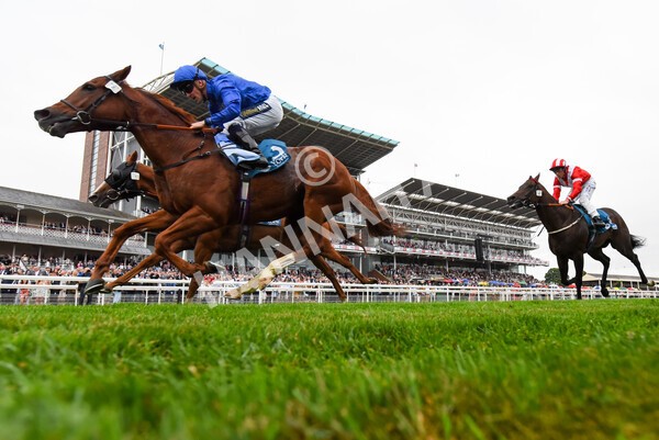 yr22072022r2-34 - Race 2 5.50pm eventmasters.co.uk Stakes