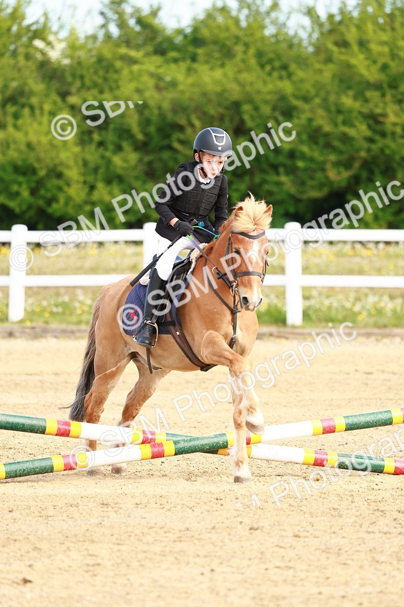 SBM_006629 - Class 1 - 40cm