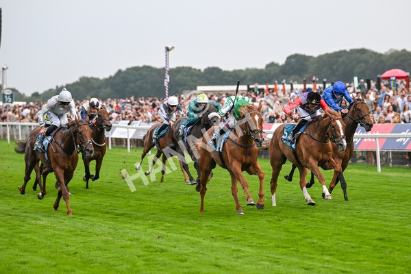 250725-Race 5-Sand Gazelle-6039 - Race 5 7.48pm British EBF Lyric Fillies' Stakes