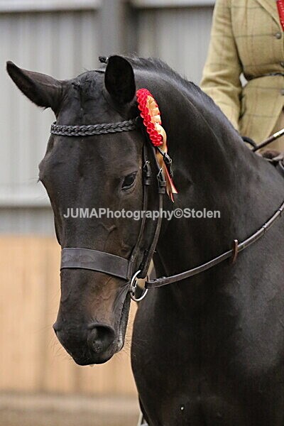 SIAL2762 - Sunday 14th Ridden