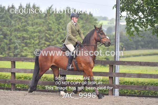 JAC_9998 - CLASS 3 Intermediate Working Hunter (0.70m - 0.85m)