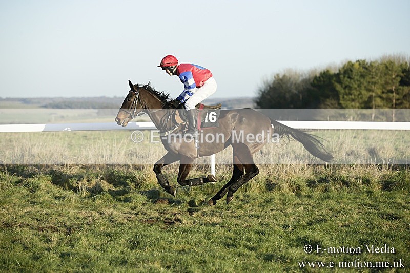 PtP 070118 -648 - Larkhill Racing Club Point to Point Larkhill 07/01/2018