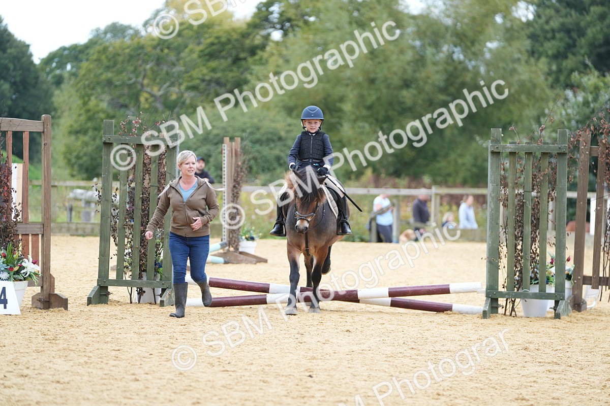 SBM_64353 - J2 - Mini Tour Junior Pony 30cm Championship