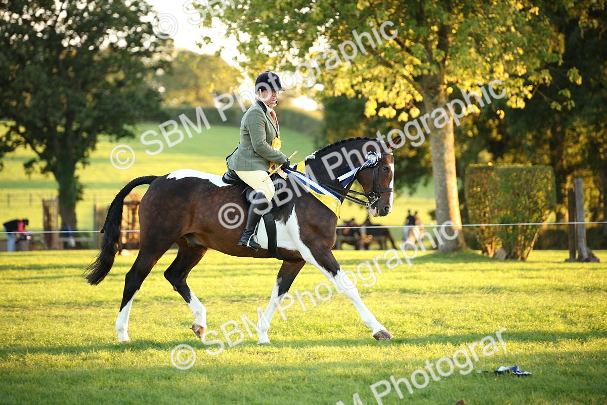 SBM_57080 - Veteran Supreme Championship