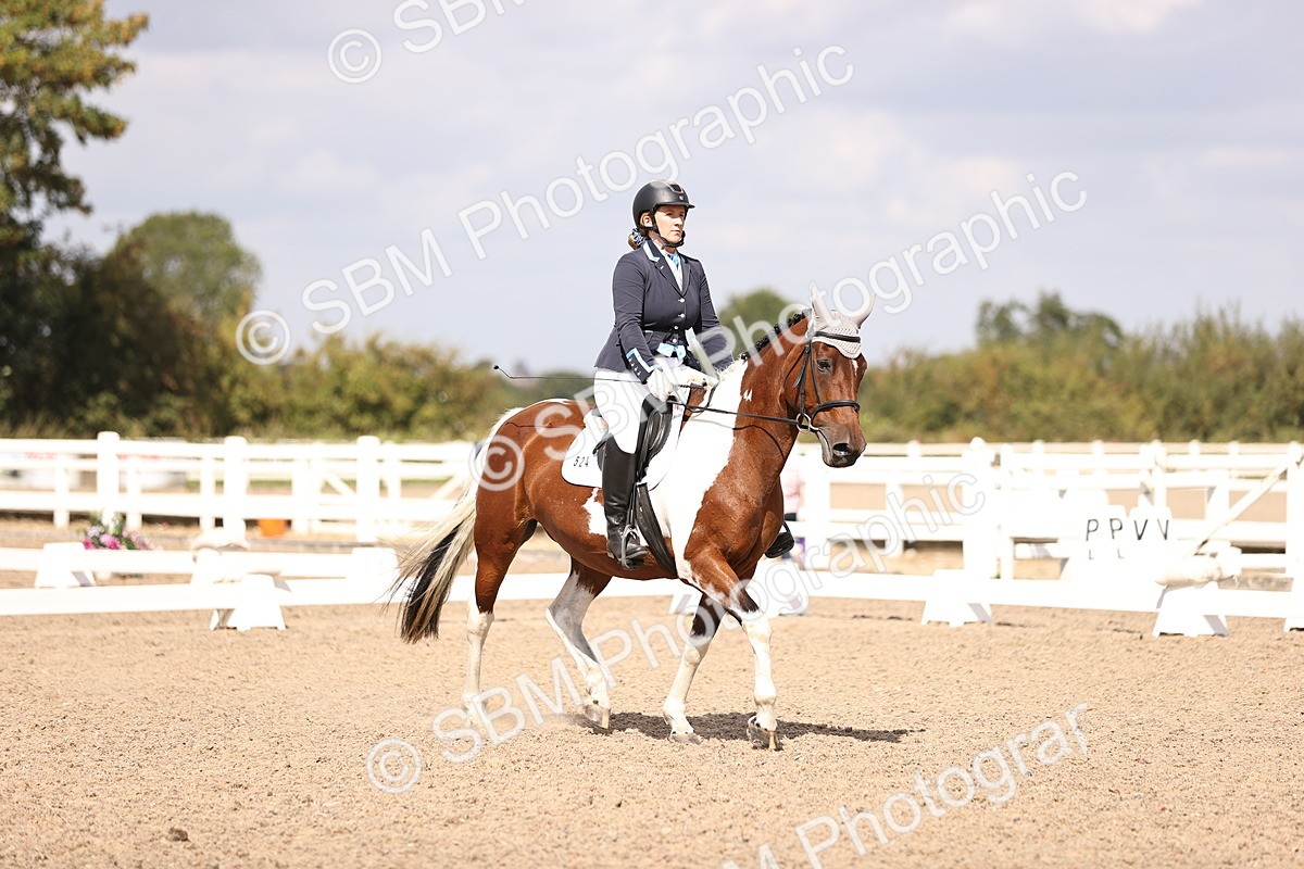 SBM_03705 - CLass 35 Intro 3