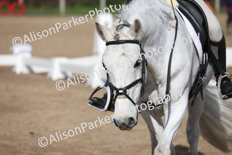 20260228-0571 - Class 4 - Prelim 2