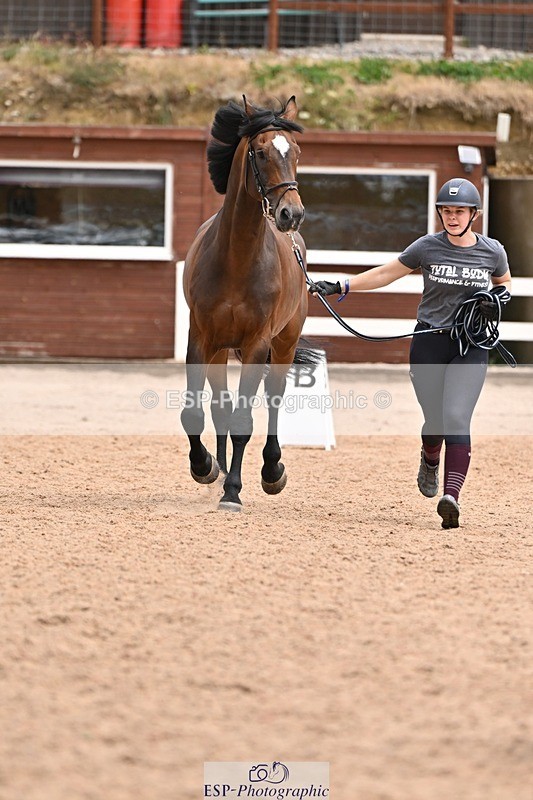 250716-145119-01447 - Trot Up 2.30 to 3.30