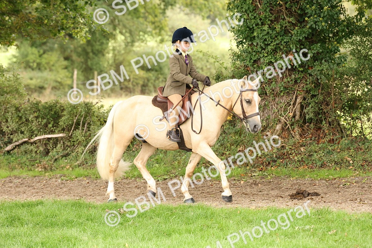 SBM_62994 - S64 - Foreign Breeds Ridden