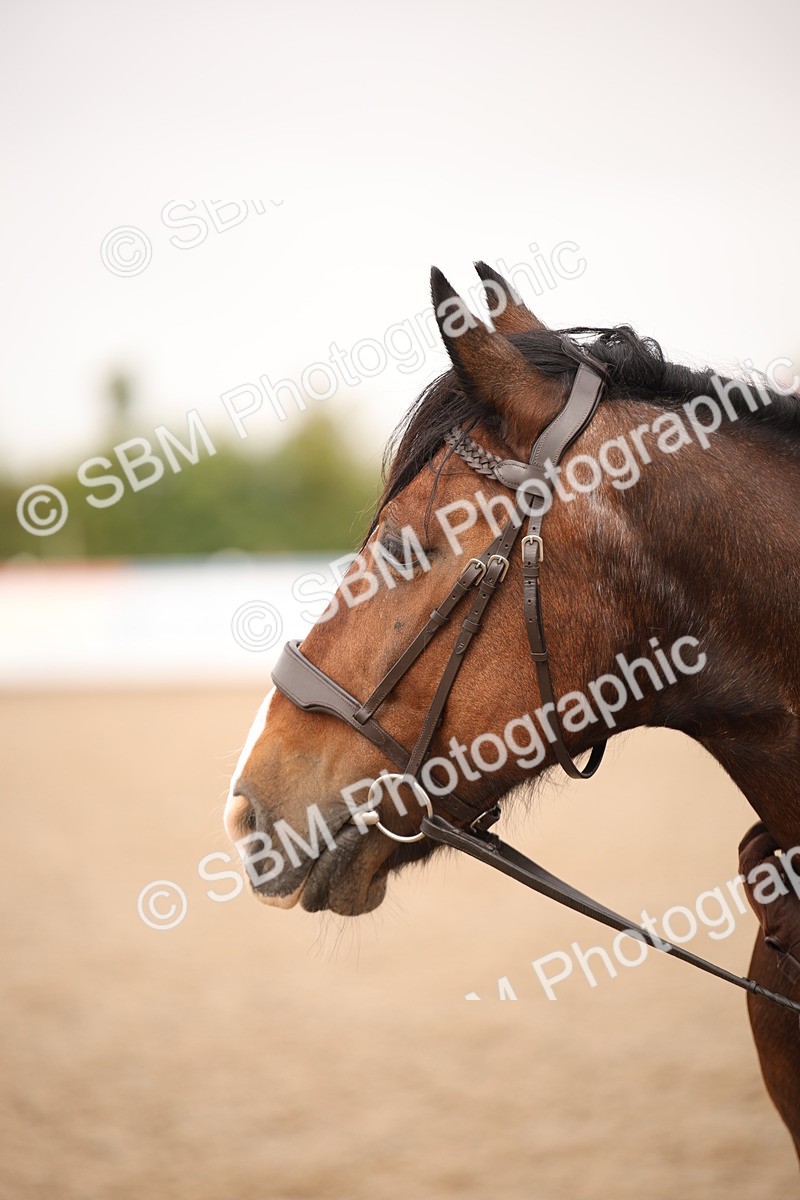 SBM_21521 - Class 706 - IH  Veteran