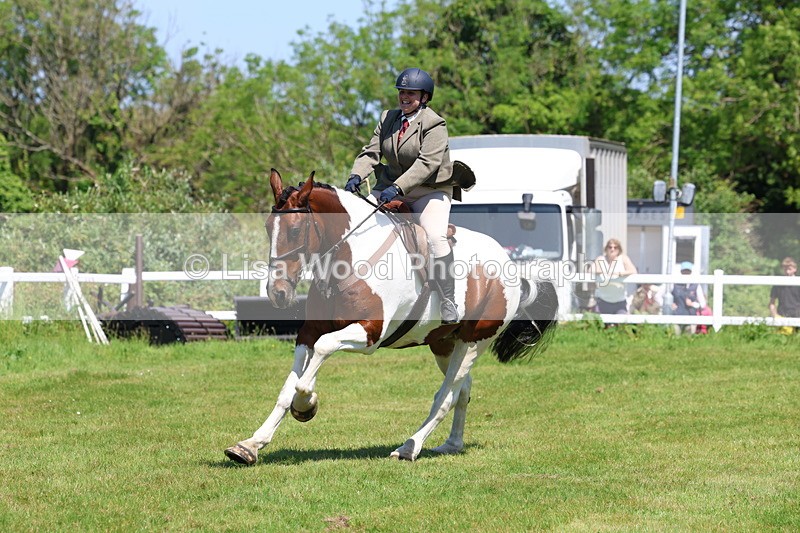 3E7A7267 - Class 30: Novice Working Hunter