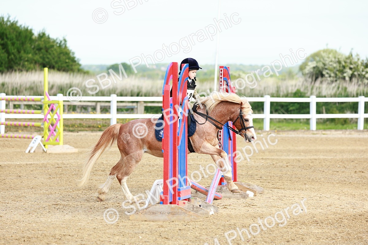 SBM_006344 - Class 1 - 40cm