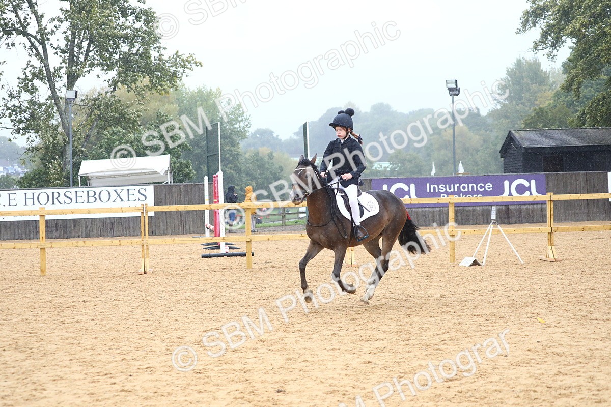 SBM_71650 - J4 - Mini Tour Junior Pony 45cm Championship