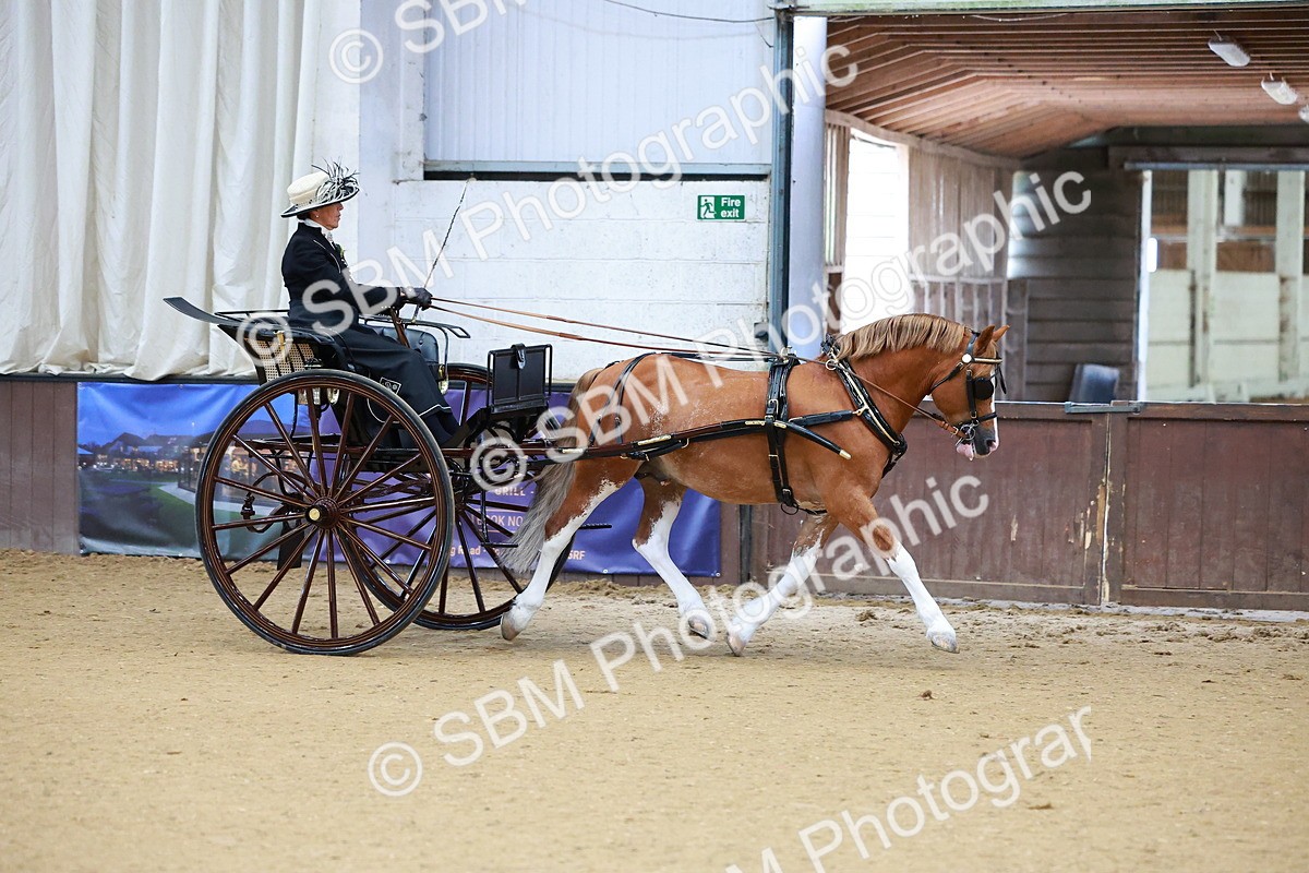 SBM_000015 - Class 1 - Non Hackney Private Drive 13.2hh and Under