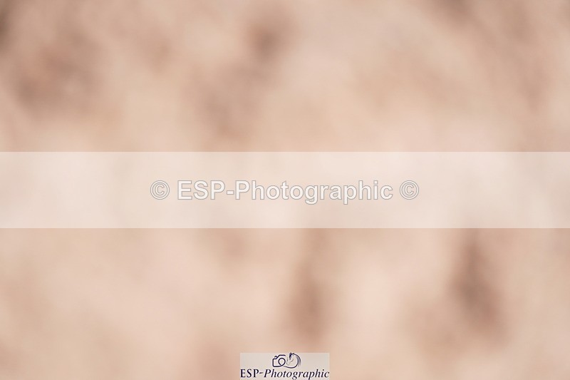 240728A-134440-09242 - Cls 26 NAF Silver Jump Off and Presentations