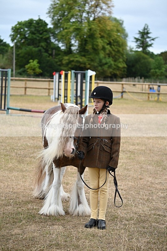 WJ6_8236 - Class 10 Coloured in Hand