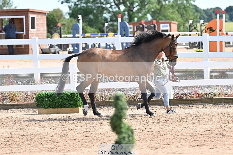 240717A-154928-03076 - Trot Up 3pm to 4pm