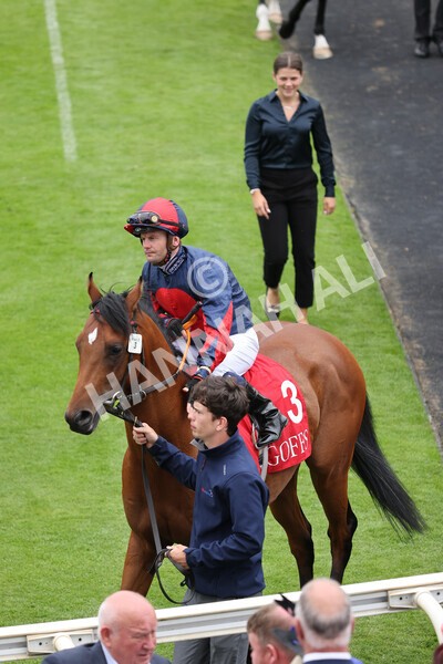 yr19082021r2-8 - Race 2 2.25pm Goffs UK Premier Yearling Stakes