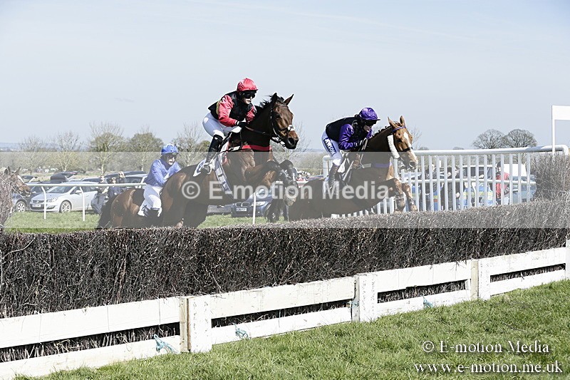PtP 260317 65 - Mendip Farmers Point-to-Point Ston Easton 26/03/17