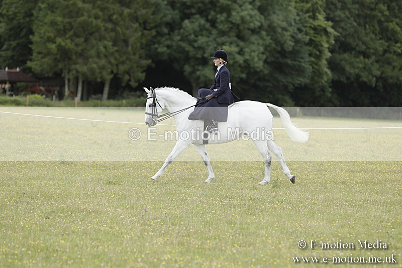 BVR160717-2370 - Side Saddle Classes 16/07/17