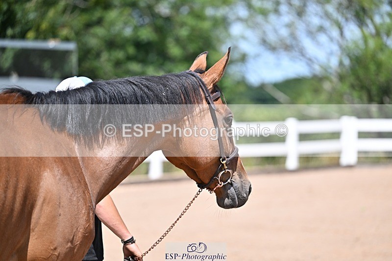 250716-123030-00024 - Trot Up 12.30 to 1.30