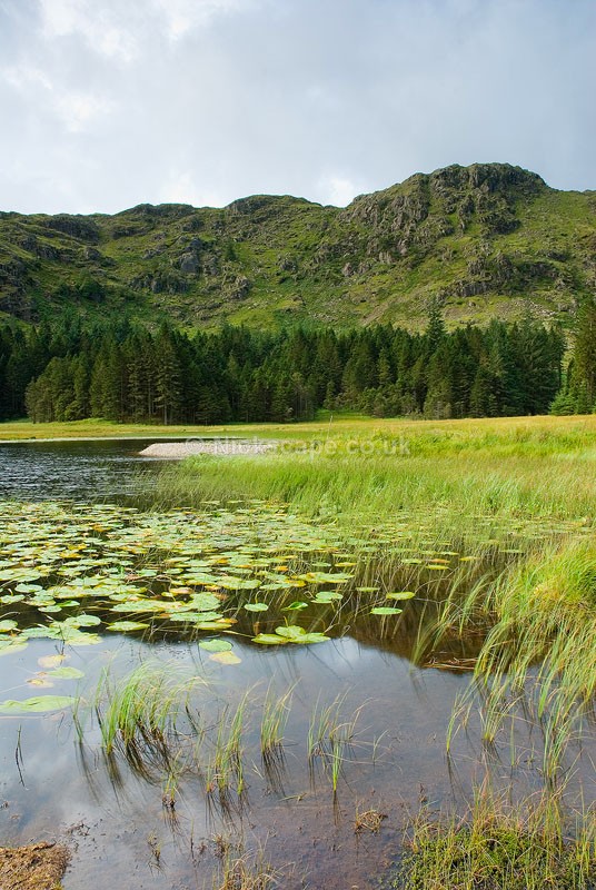 Photo of Harrop Tarn and Tarn Crags above Thirlmere in Lakelane, Lake District Photography